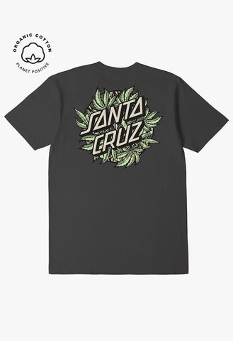 Santa Cruz Weed Dot Tee M/L/XL
